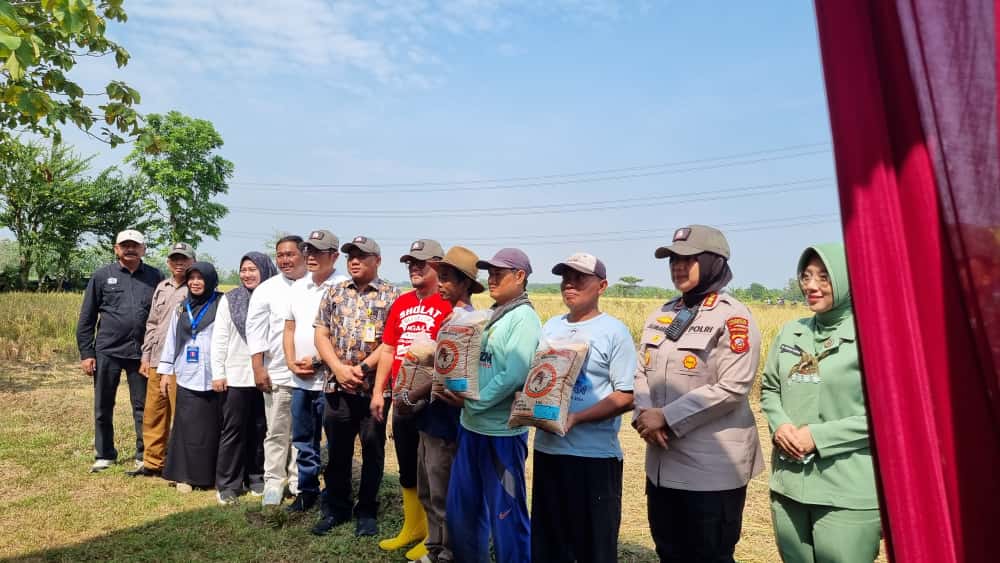Panen Raya Hari Tani Nasional Tingkat Kabupaten Cirebon 2025