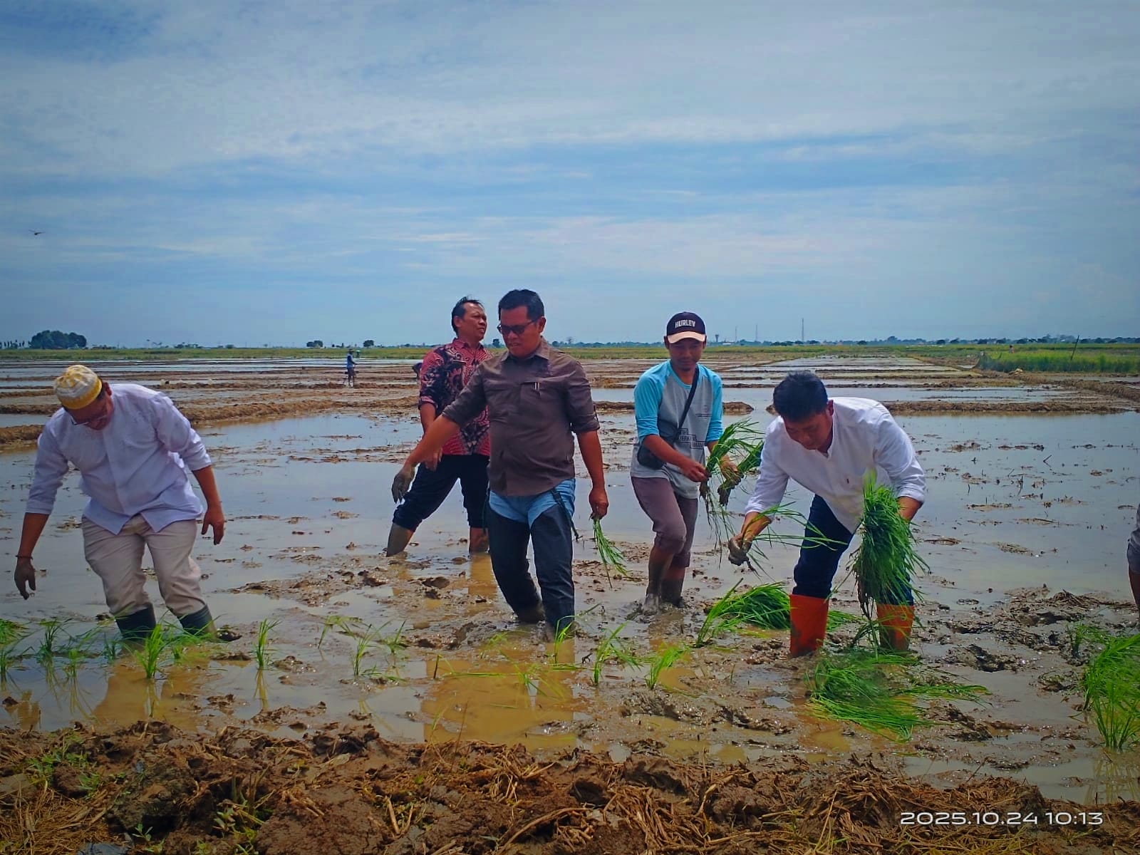 Program Ketahanan Pangan Nabati: Masa Tanam Ke-3 Menuju Swasembada Pangan di Desa Bayalangu Kidu
