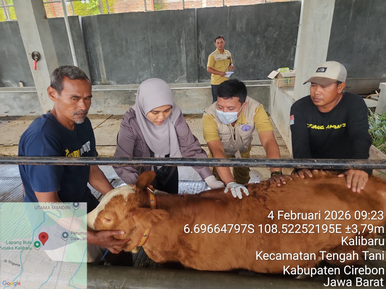 VAKSINASI HEWAN DI UPTD PUSKESWAN TENGAH TANI