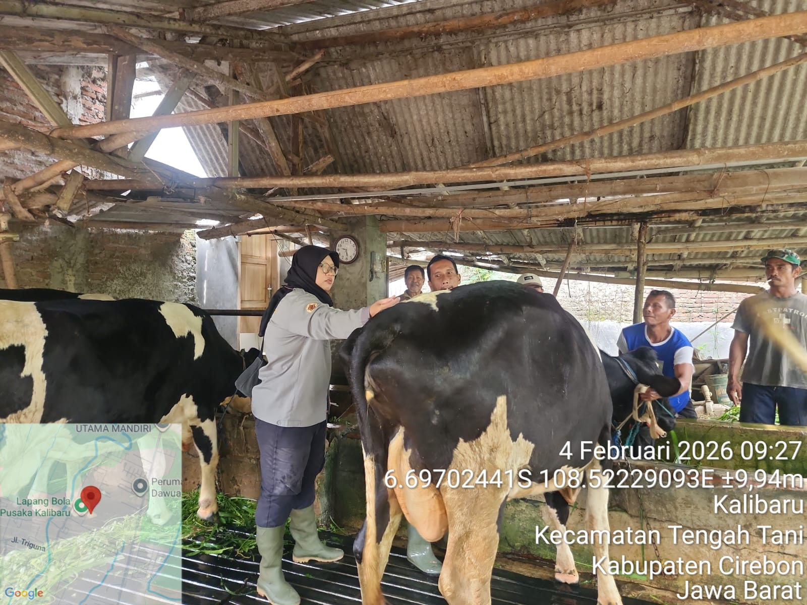 VAKSINASI HEWAN DI UPTD PUSKESWAN TENGAH TANI