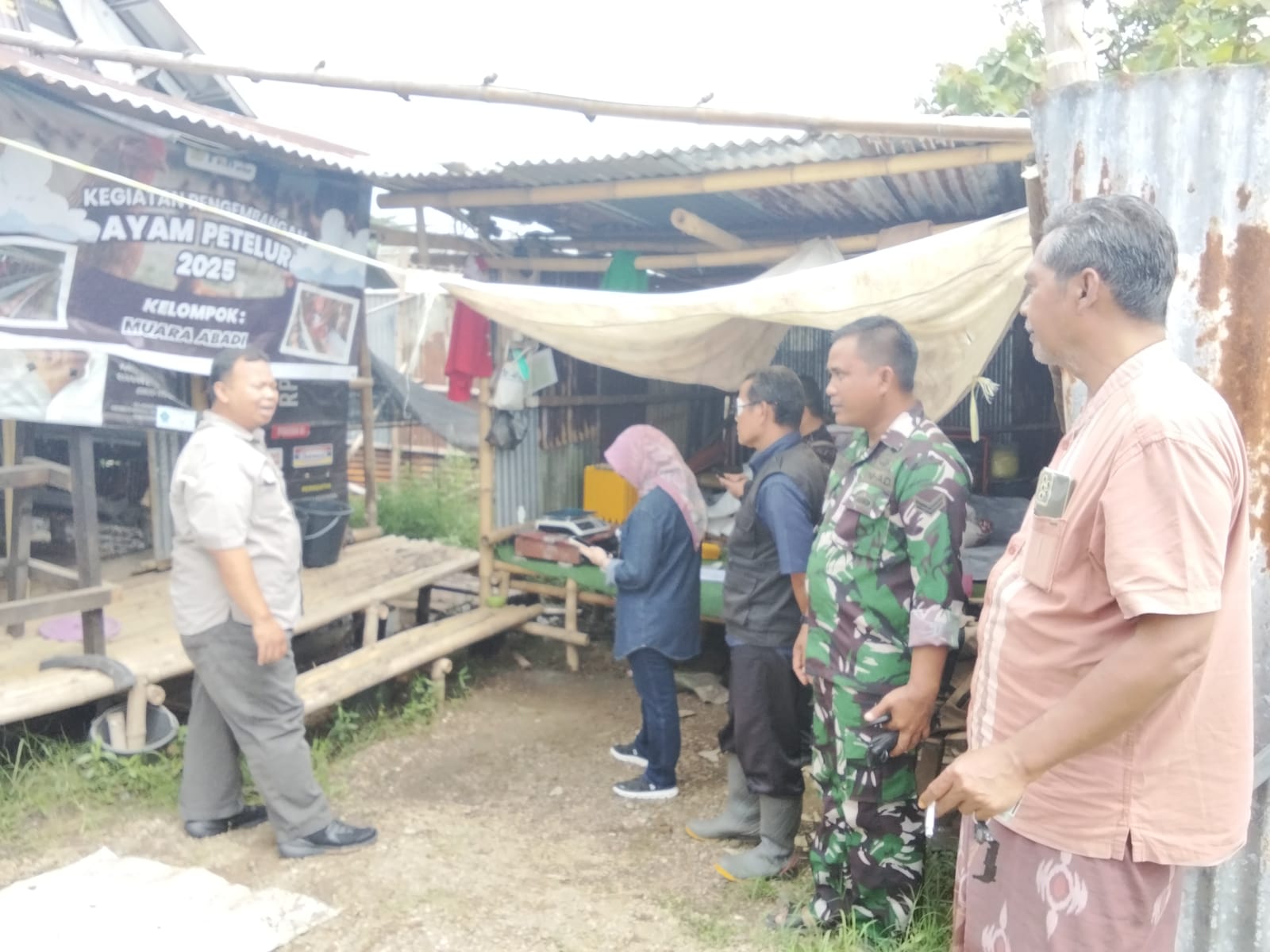 Monitoring Ayam Petelur di Kec Lemahabang