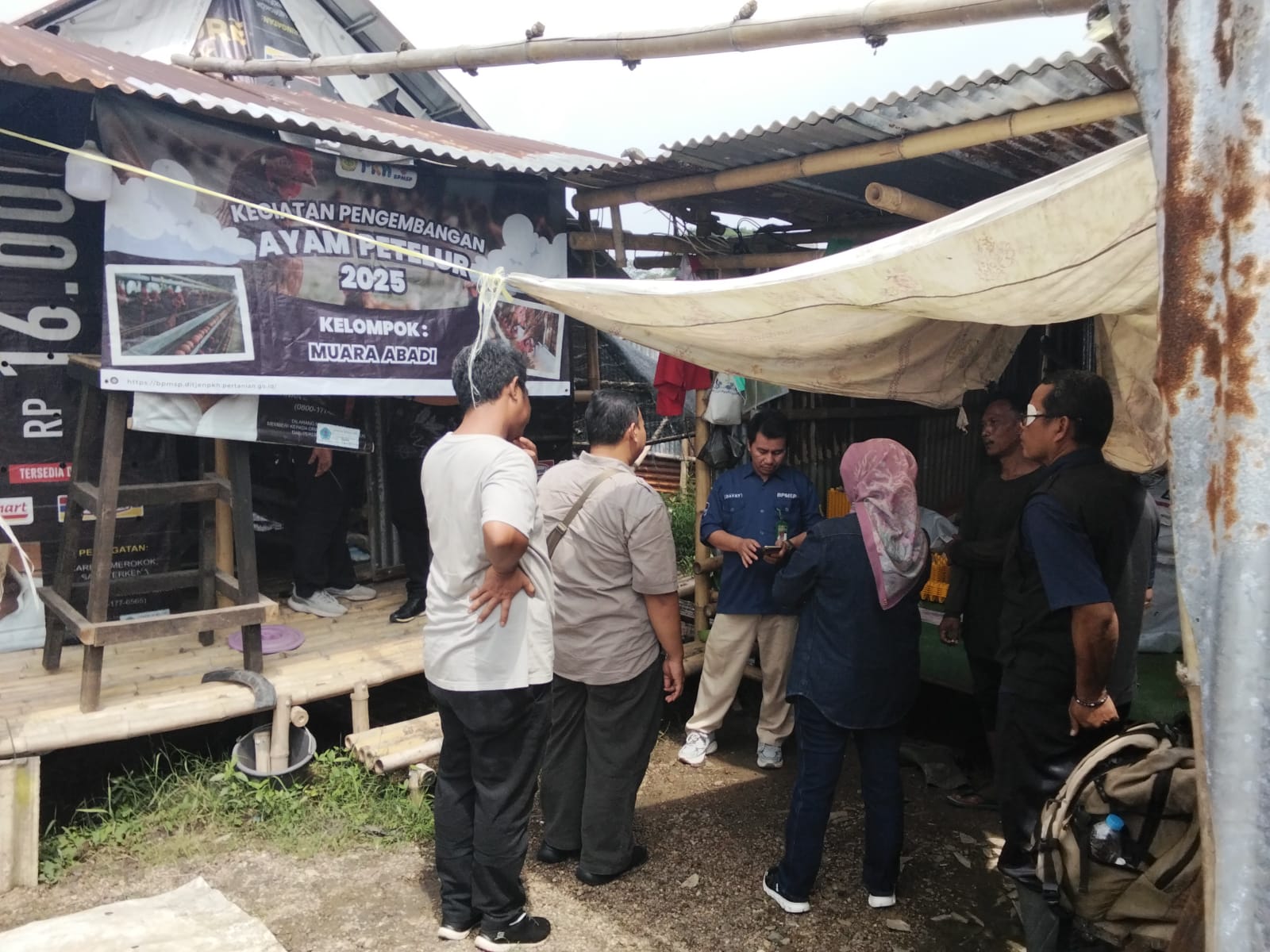 Monitoring Ayam Petelur di Kec Lemahabang
