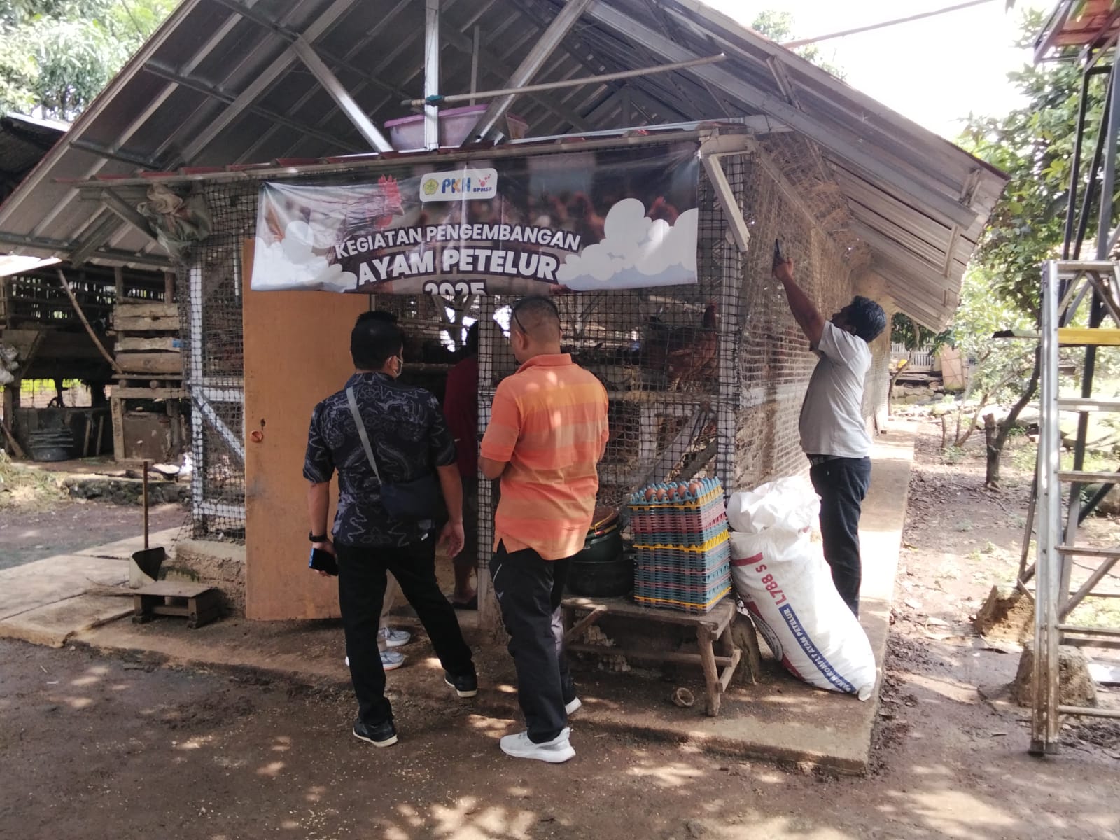Monitoring Ayam Petelur di Kec Lemahabang