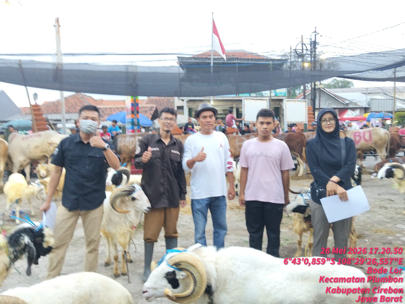 Pemeriksaan Ante Mortem Hewan Kurban di Desa Bode Lor, Kecamatan Plumbon