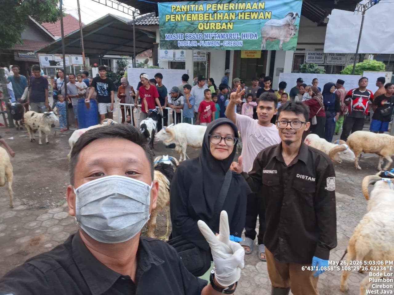 Pemeriksaan Ante Mortem Hewan Kurban di Desa Bode Lor, Kecamatan Plumbon