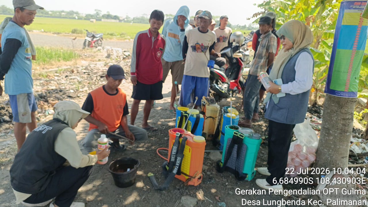 Gerakan Pengendalian Organisme Pengganggu Tumbuhan (OPT) Gulma