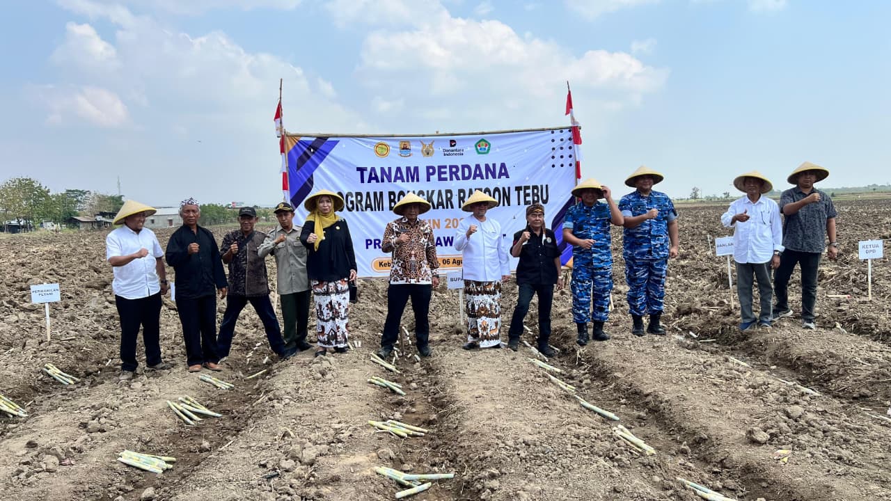 TANAM PERDANA PROGRAM BONGKAR RATOON TEBU TAHUN 2026