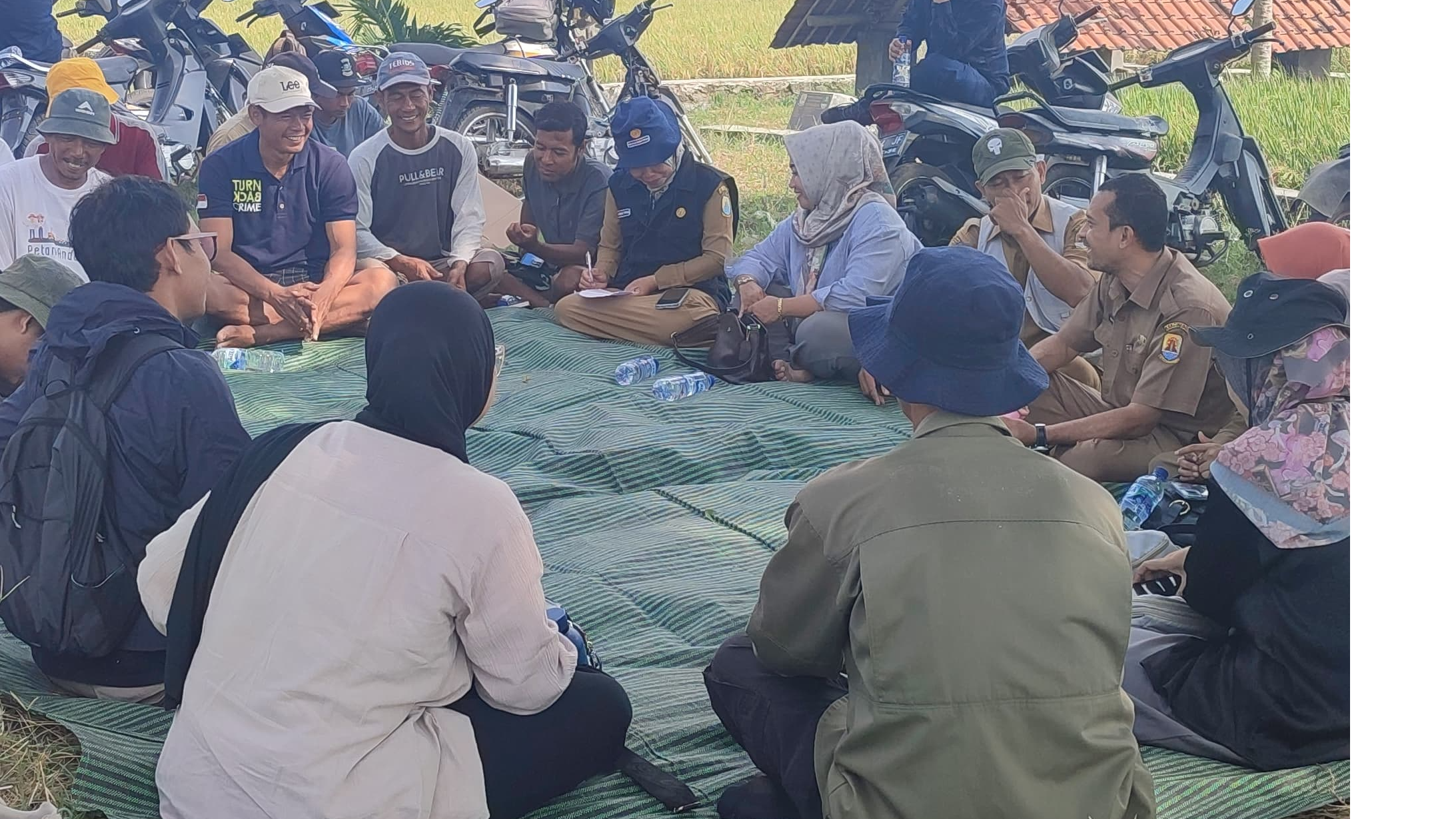 Dinas Pertanian Cirebon Dampingi Petani Saat Panen Raya Mendukung Swasembada Pangan,