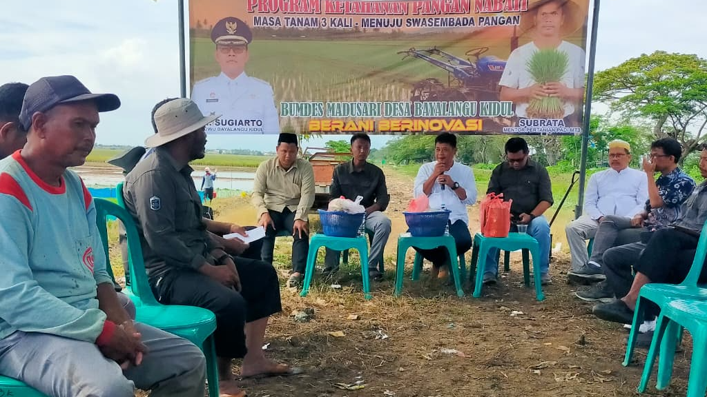 Program Ketahanan Pangan Nabati: Masa Tanam Ke-3 Menuju Swasembada Pangan di Desa Bayalangu Kidu