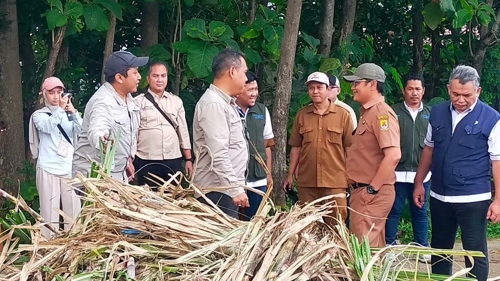 Dalam Rangka Pencapaian Swasembada Gula Nasiona