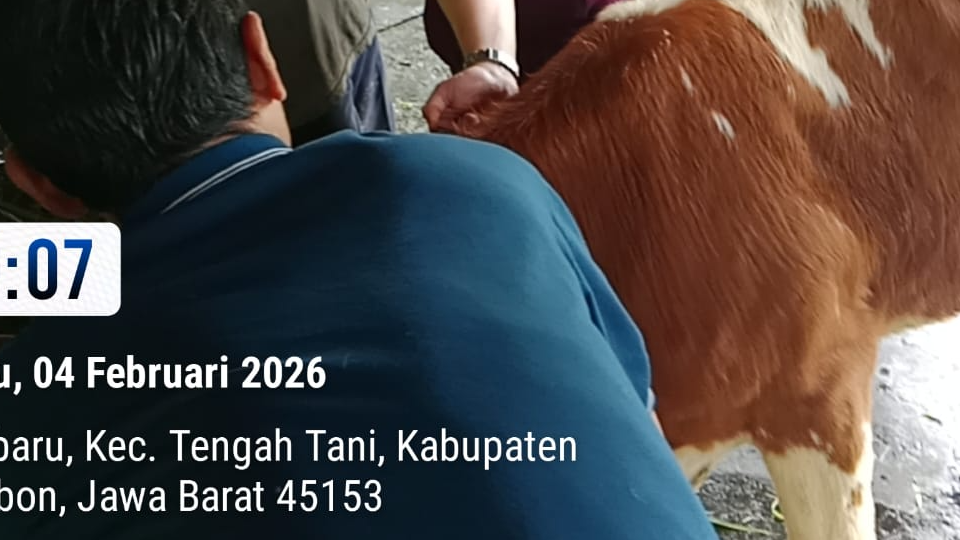 VAKSINASI HEWAN DI UPTD PUSKESWAN TENGAH TANI