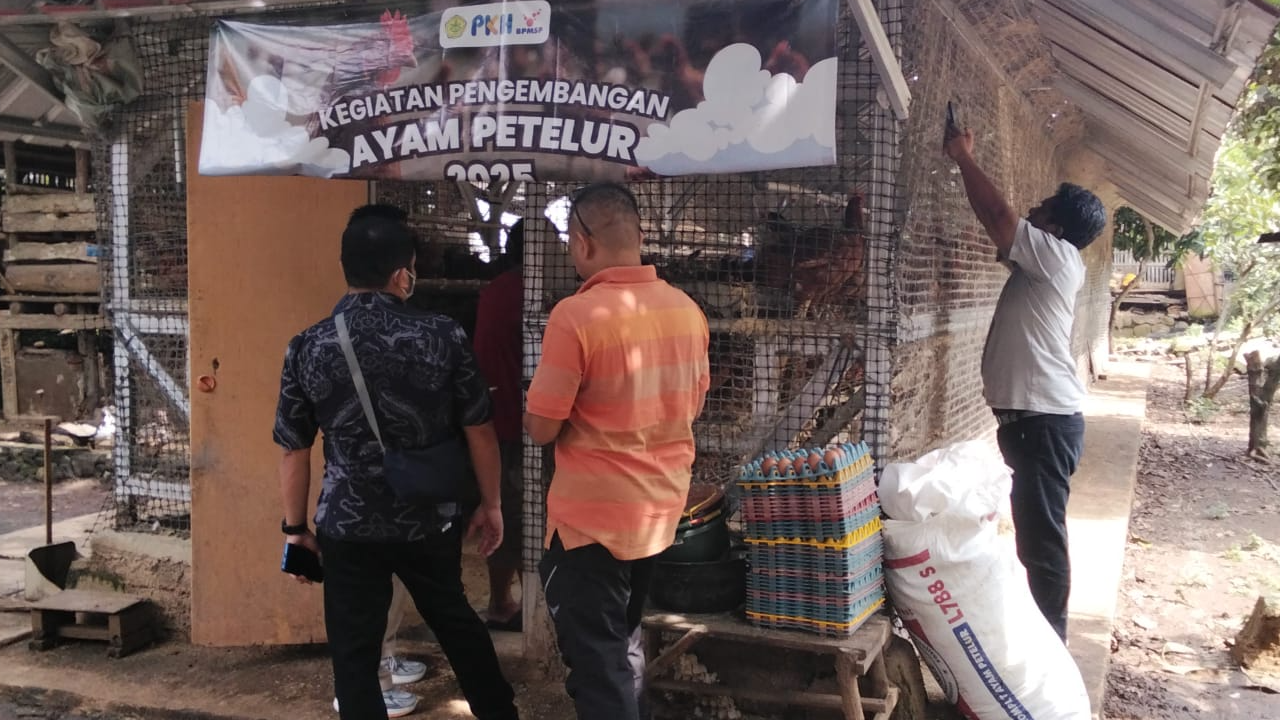 Monitoring Ayam Petelur di Kec Lemahabang