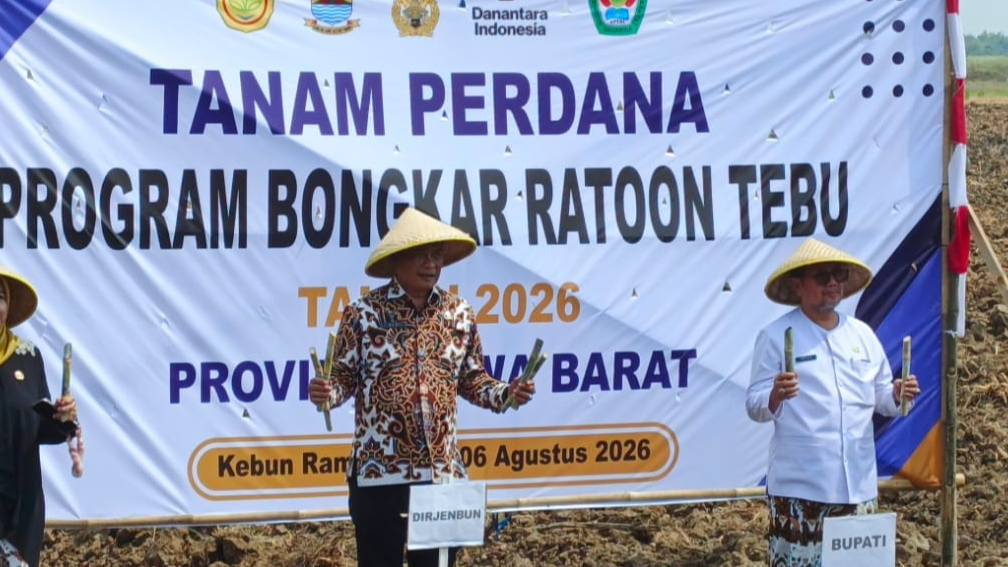 TANAM PERDANA PROGRAM BONGKAR RATOON TEBU TAHUN 2026